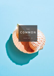 The Common Issue 22 cover showing a sea shell on a pale blue background