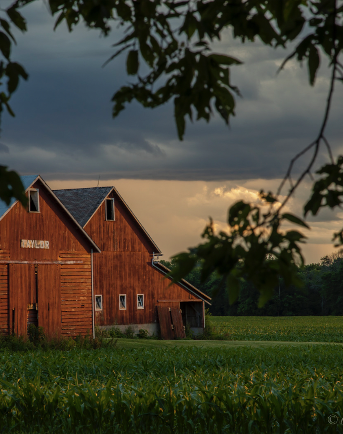 Safety Advice for Staying Indoors