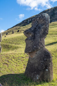 Image of a moai statue in a field. 