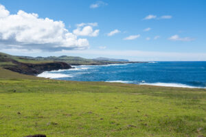 Image of ocean with waves and a grassy coast.