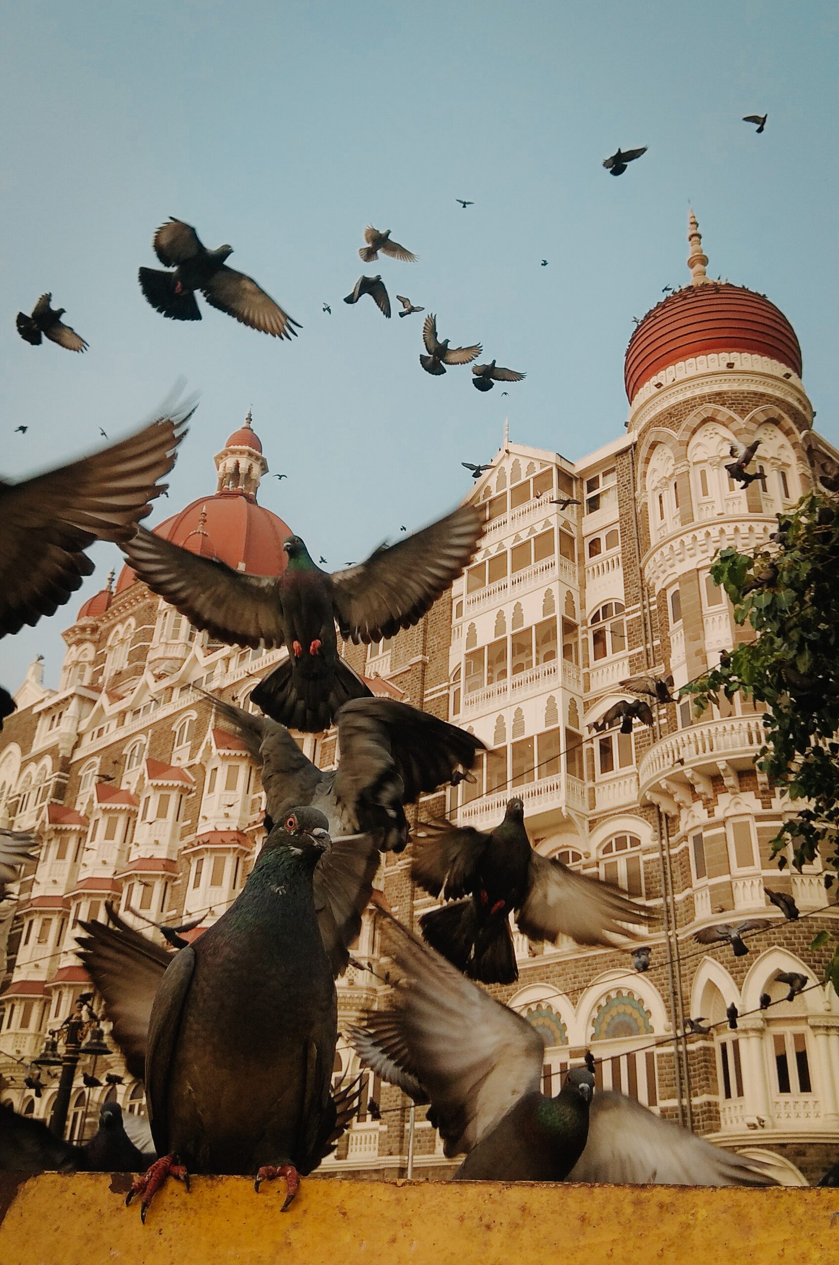 A flock of pigeons soar into a clear blue sky. An ornate white building is in the background, topped by red domes.
