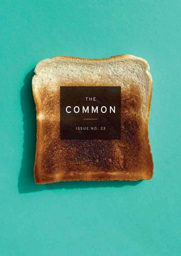 Common Issue 23 cover showing a half-burnt piece of toast on a green background