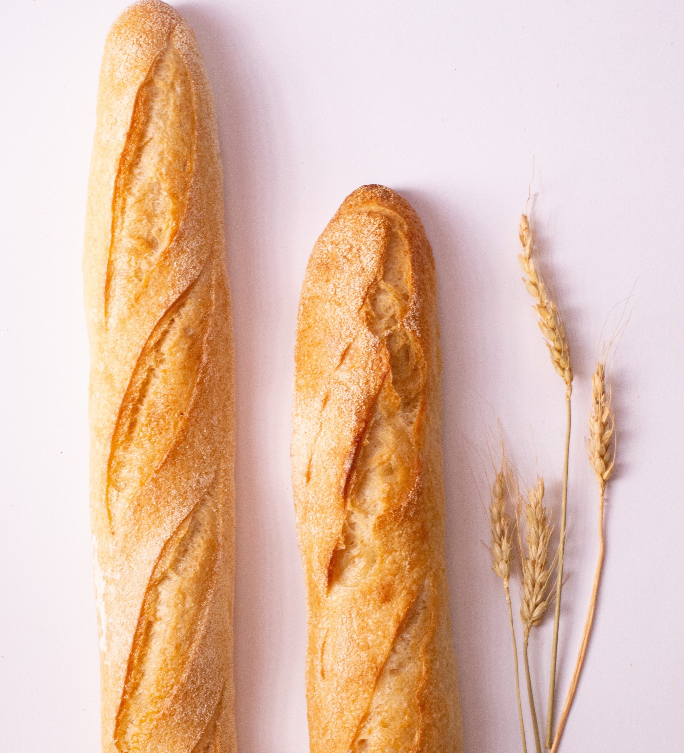 Two thin loaves of baguettes on a white background, with a wheat stalk to their right