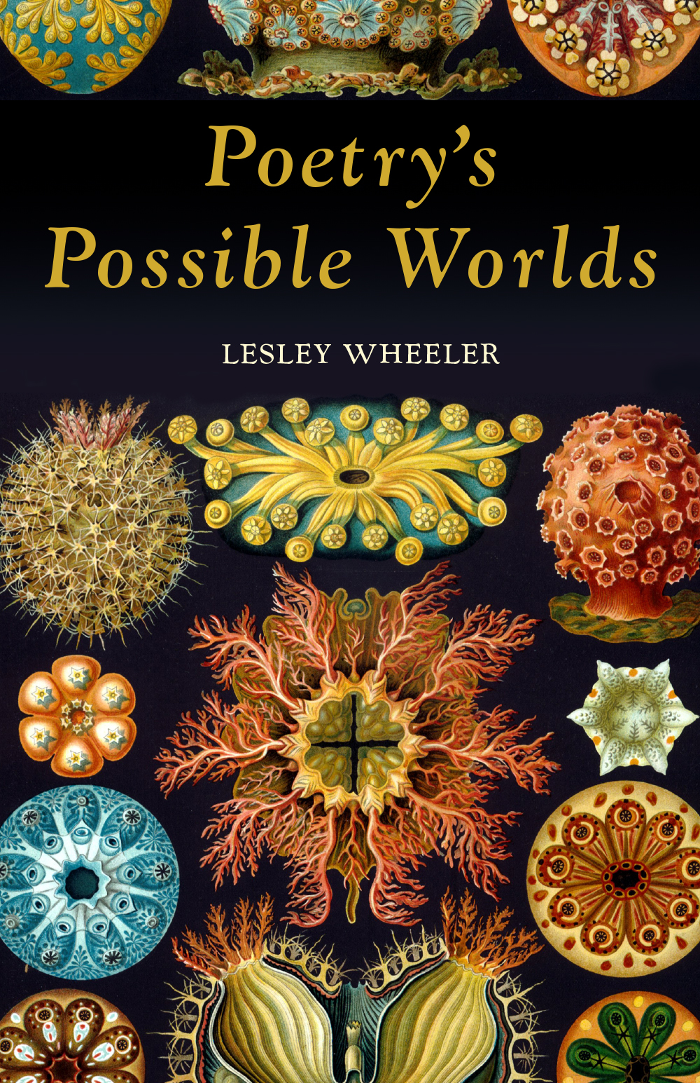 Cover of Poetry's Possible Worlds by Lesley Wheeler, showing colorful illustrations of plant life against a black background