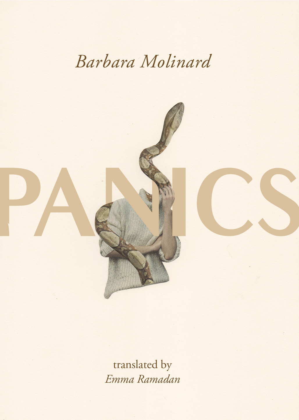 Panics book cover