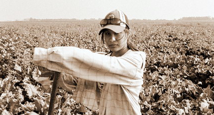 Sepia-toned photo of a young woman farmworker standing in a sugar beet field