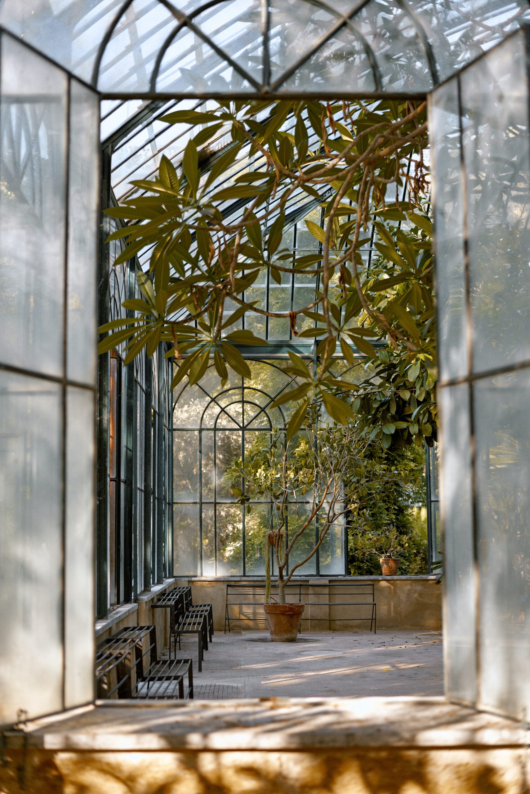 Greenhouse with Trees and Benches