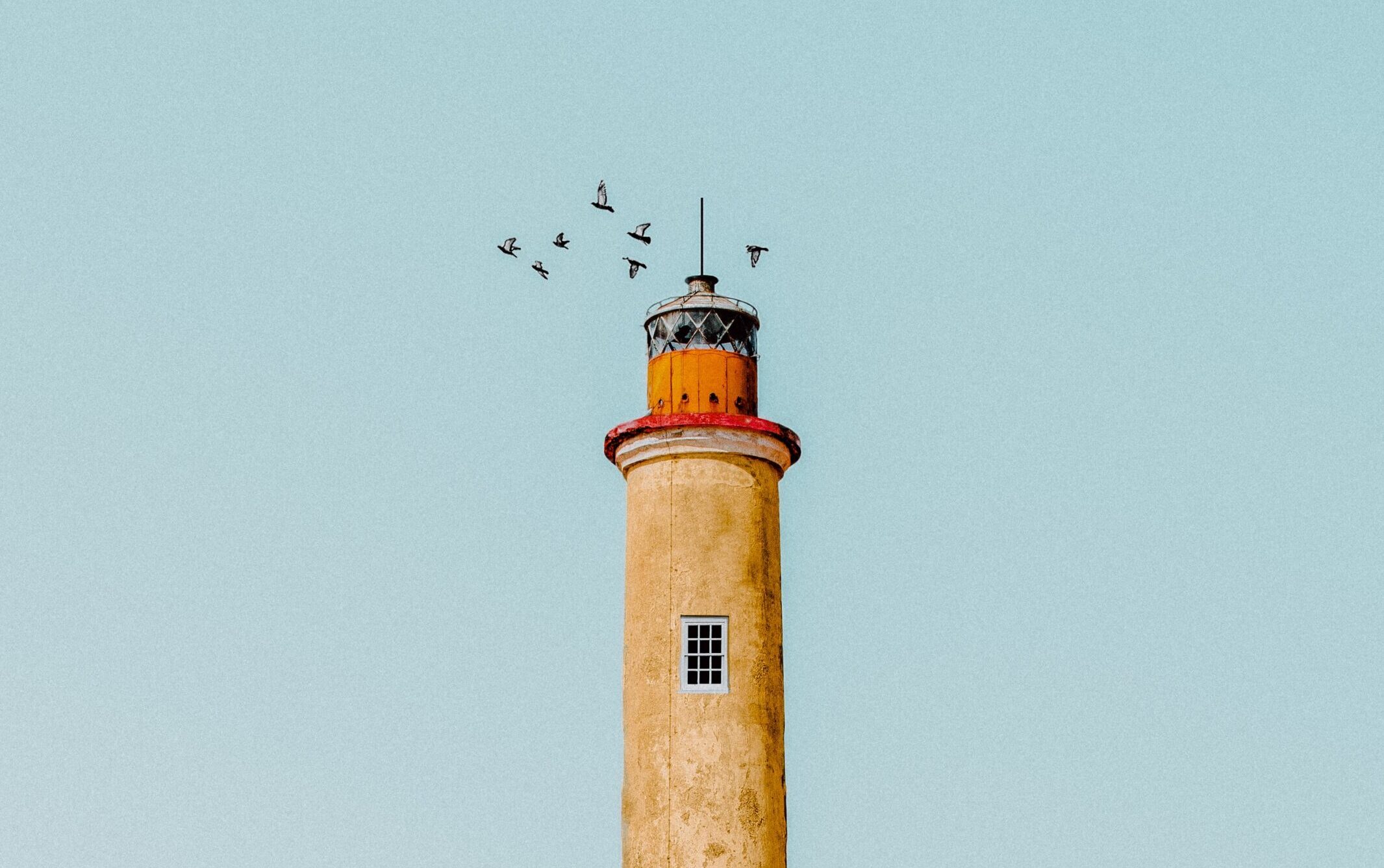 A lighthouse against blue sky, with some birds circling near the top of the tower.