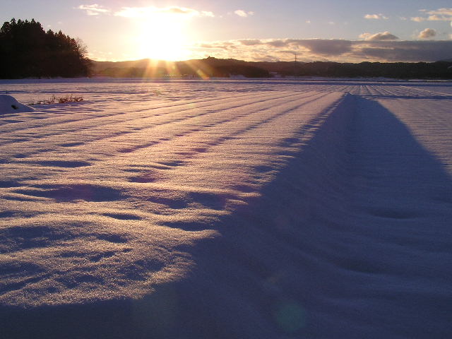 Image of a field covered in snow with a sunset over it.