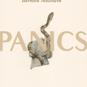 Panics book cover