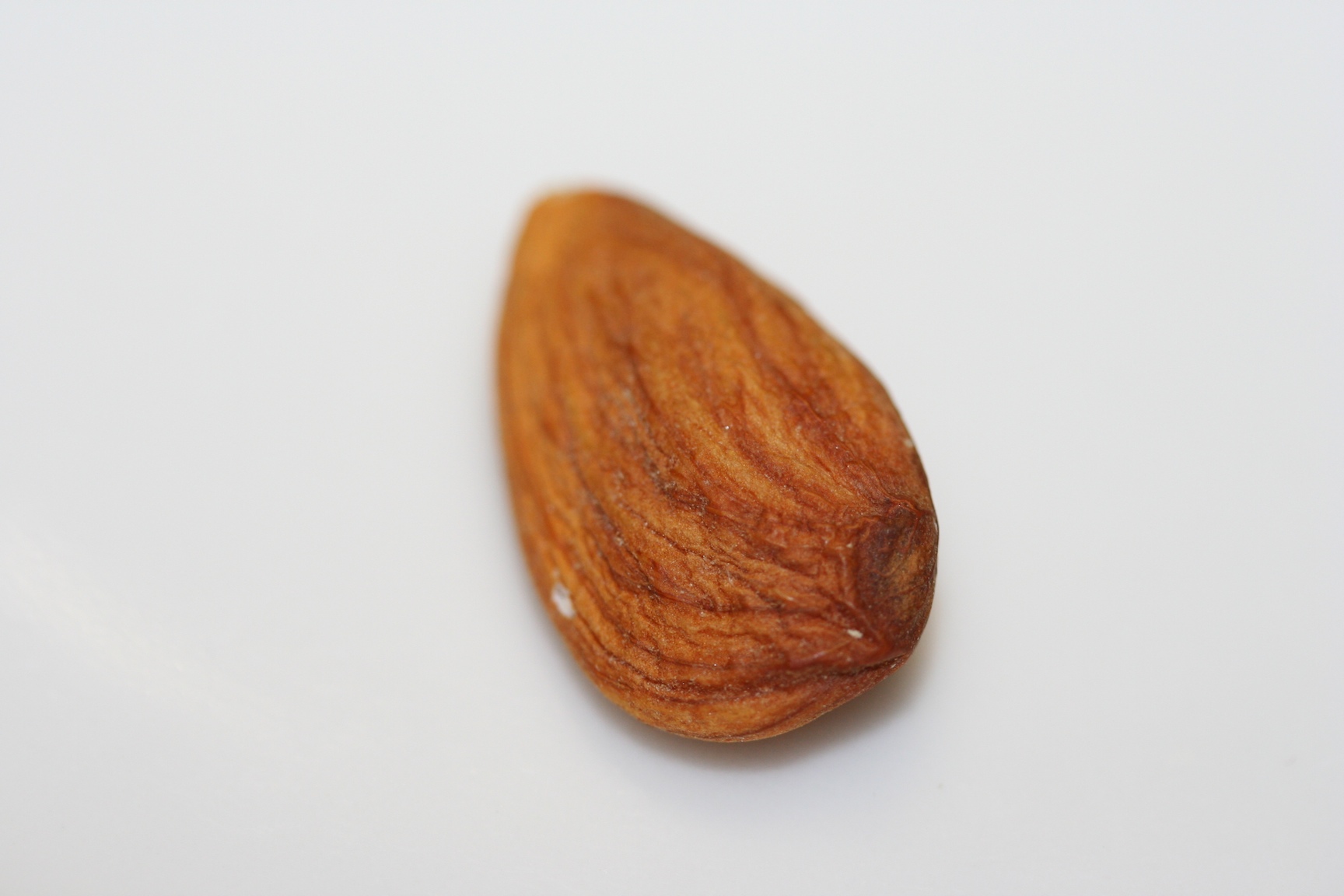 Image of an almond