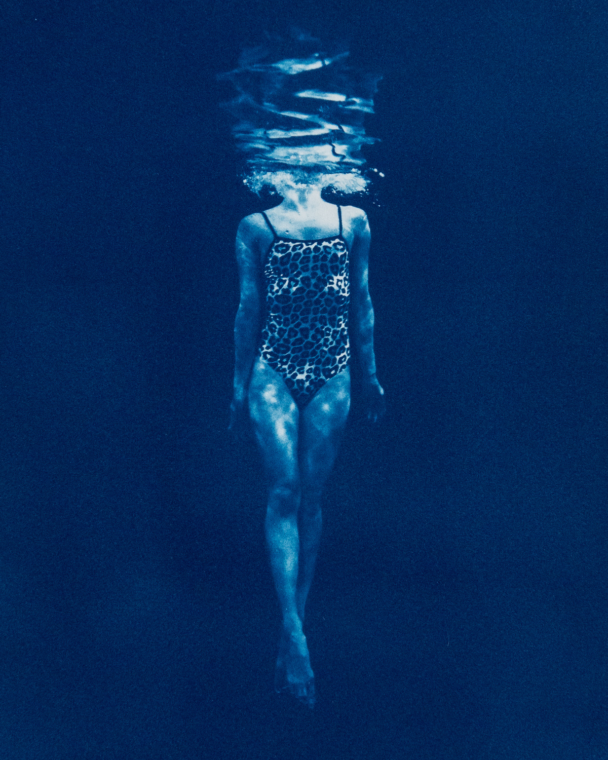 Image of Rosalind Hobley's Swimmer Cyanotype Print