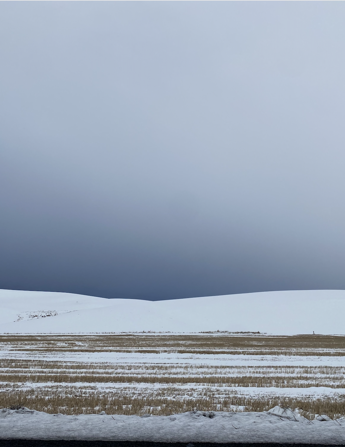 snowy field in Moscow, Idaho