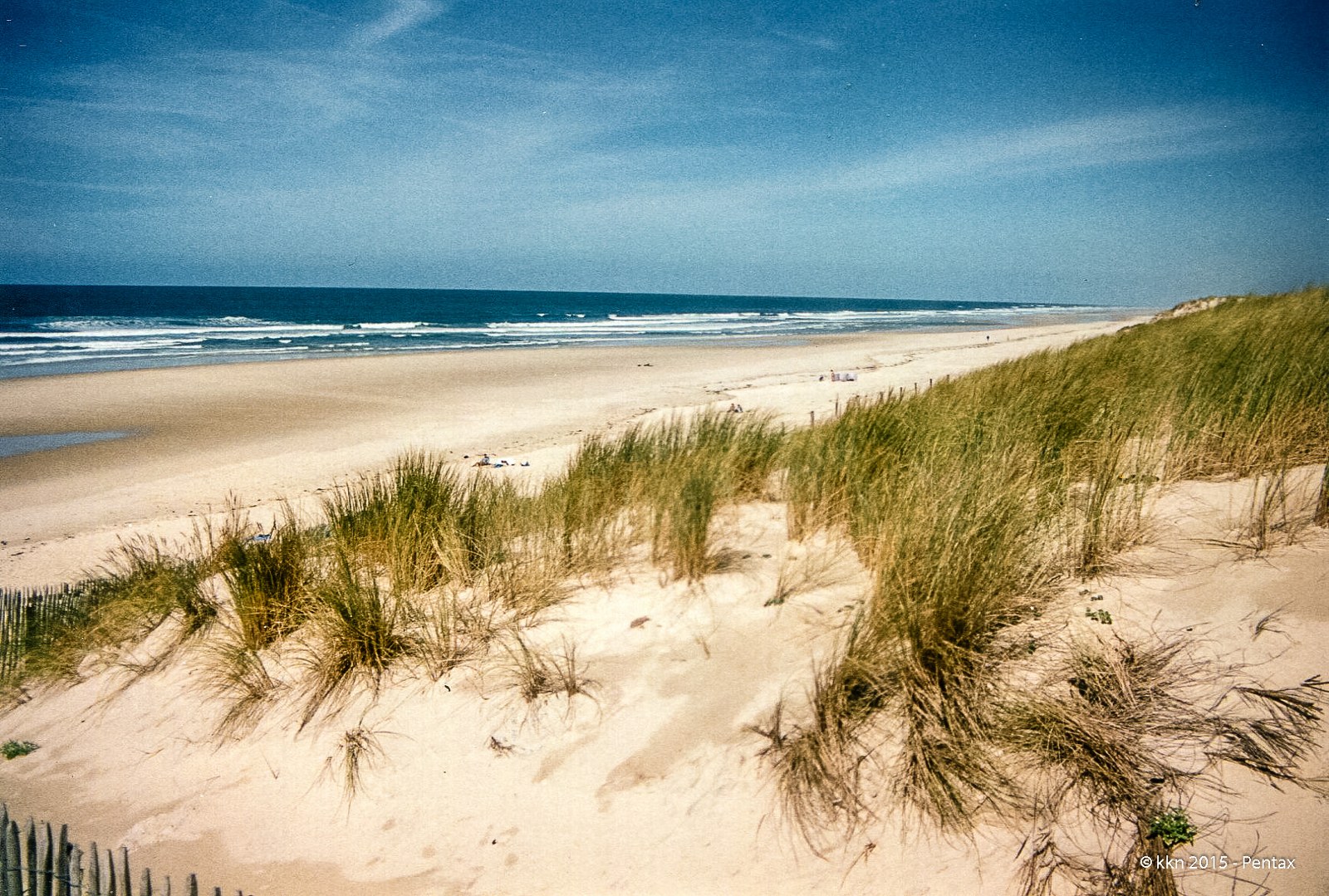 Near Murrell’s Inlet