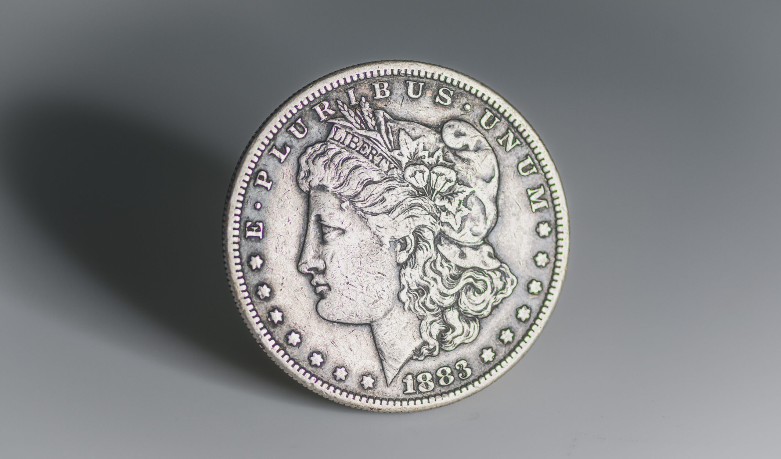 Image of a Morgan silver dollar