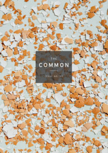 The Common issue 25 with broken pieces of eggshell scattered all over a surface