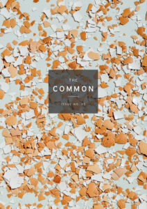 The Common issue 25 with broken pieces of eggshell scattered all over a surface