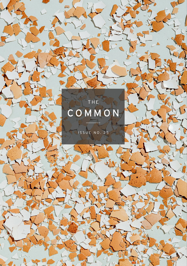 The Common issue 25 with broken pieces of eggshell scattered all over a surface
