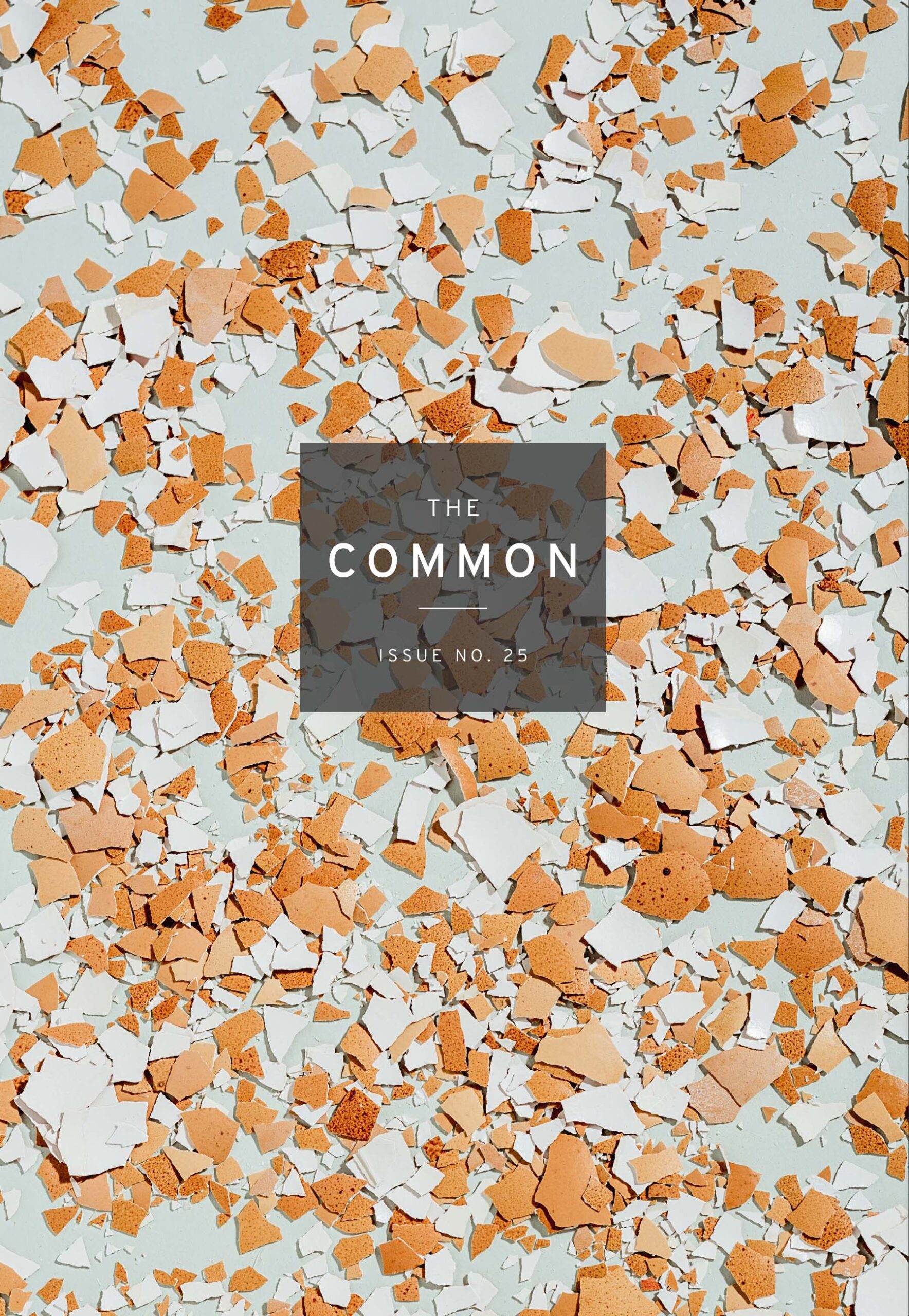 Issue 25 cover: The Common's square dark logo over a scattering of smashed brown and white egg shells, on a pale blue background.