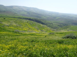 A countryside landscape with grassy hills and mountains in the distance.