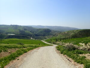 A countryside landscape with mountains in the distance and a dirt pathway dividing the image