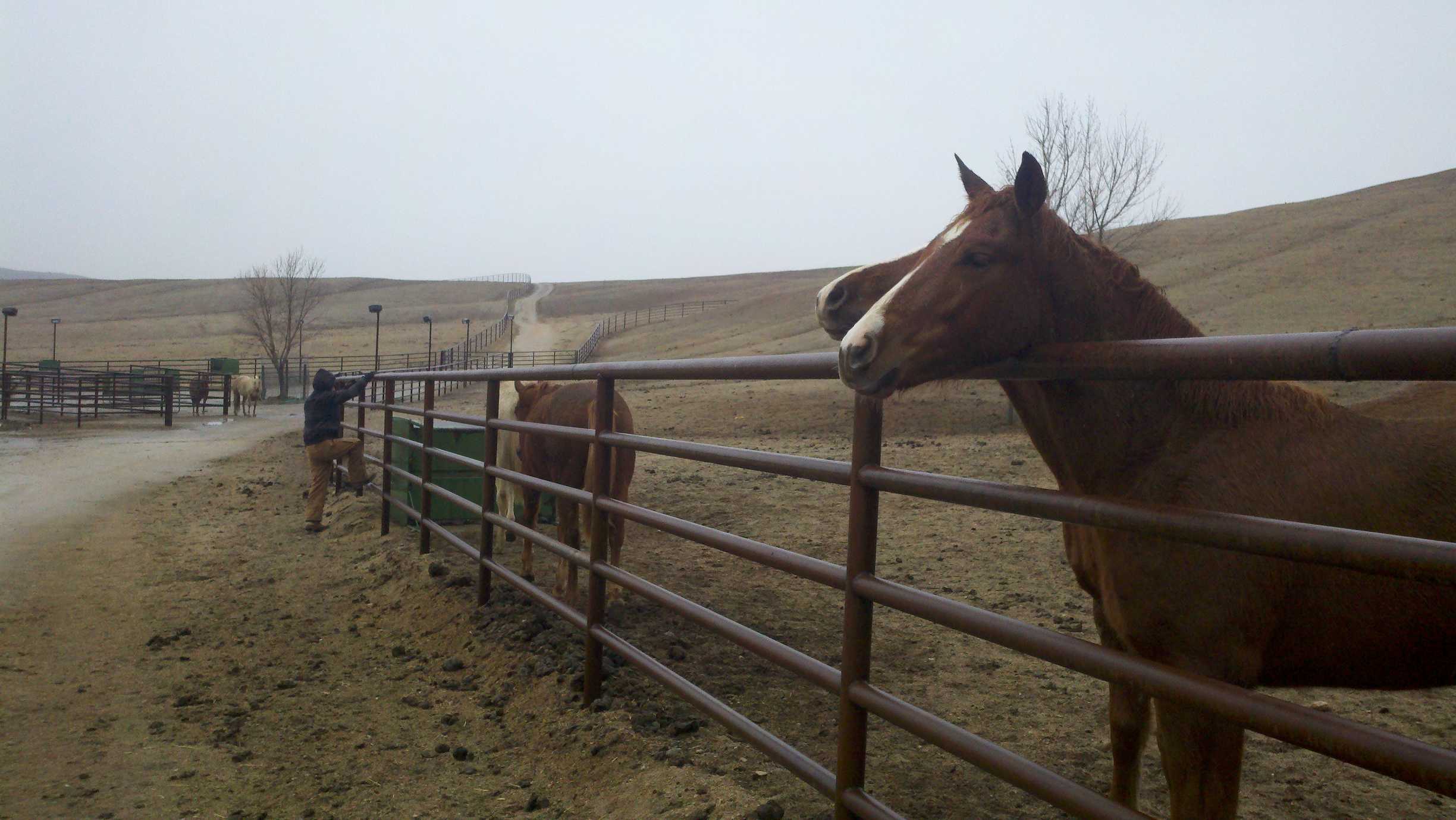 Poetry Feature: Poems from the Immigrant Farmworker Community