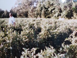 A man standing in a field