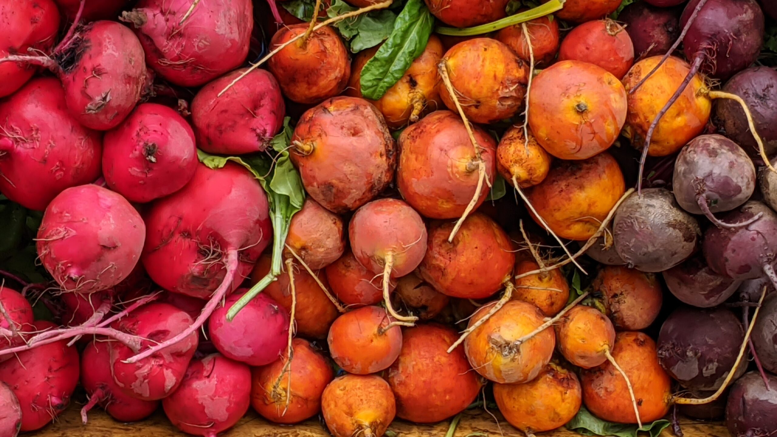 Image of red, orange, and purple beets