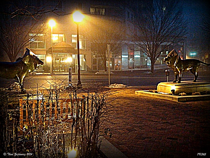 streetlights and statues at night