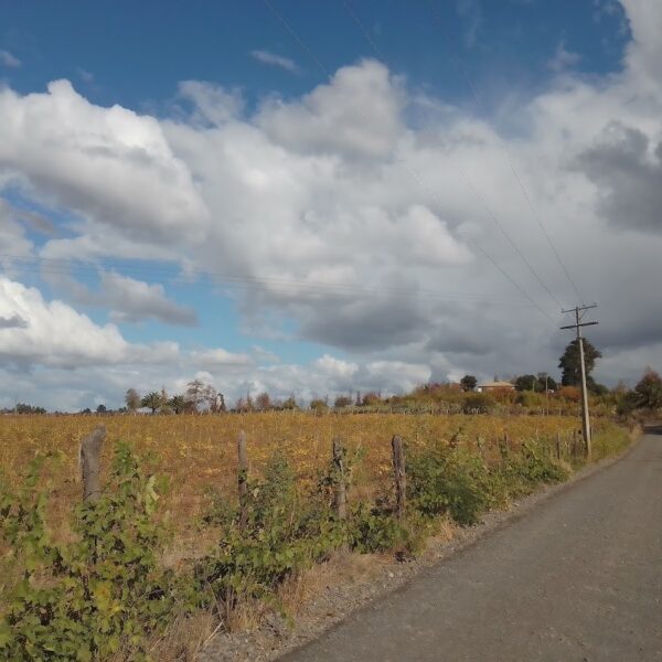 Photo of a road passing through farmland