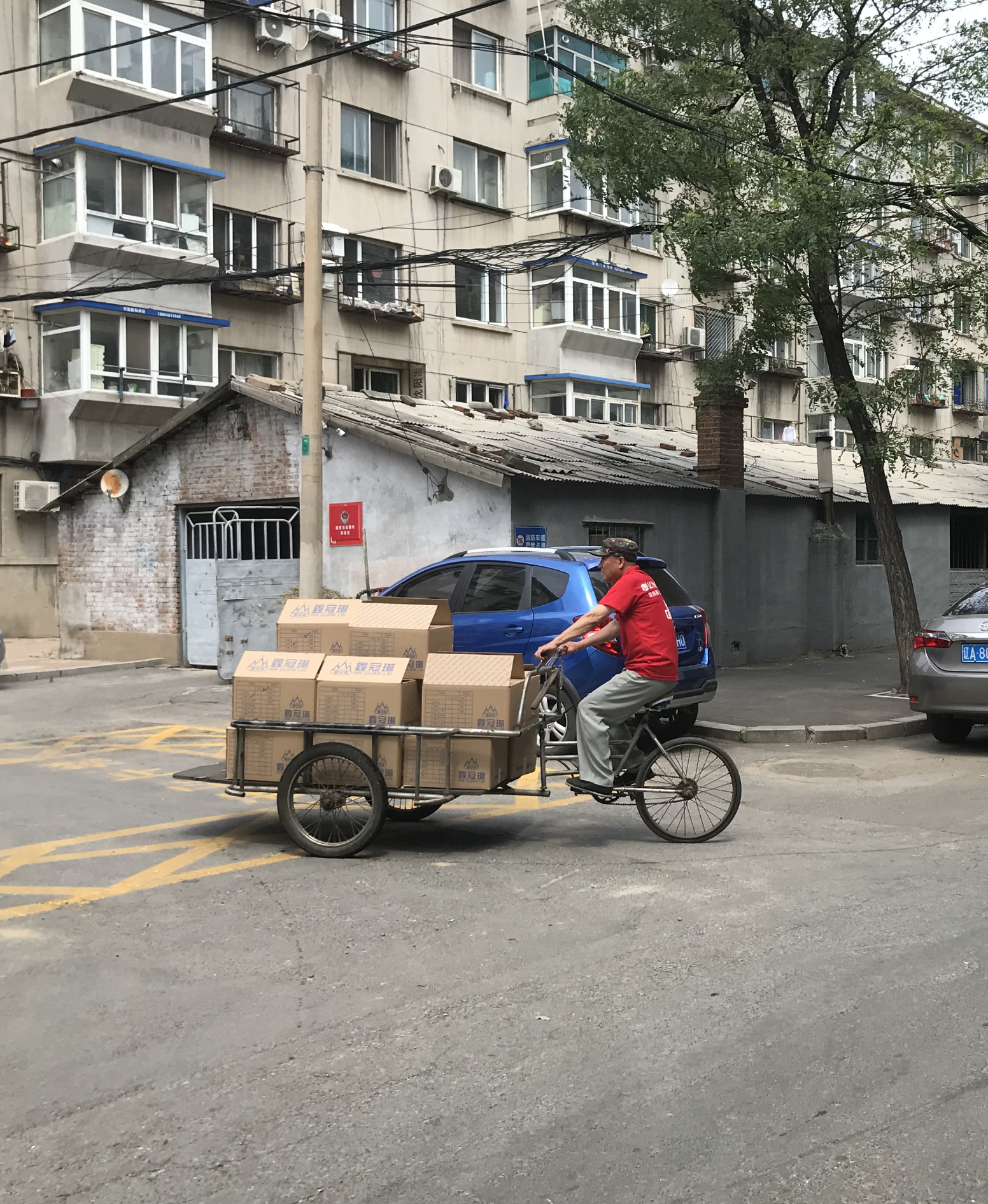 Shenyang: In Search of Reverse Donkeys