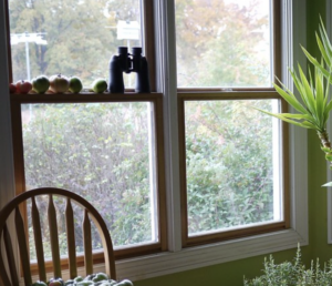 A kitchen window. Binoculars sit on the sill alongside a row of fruit. 