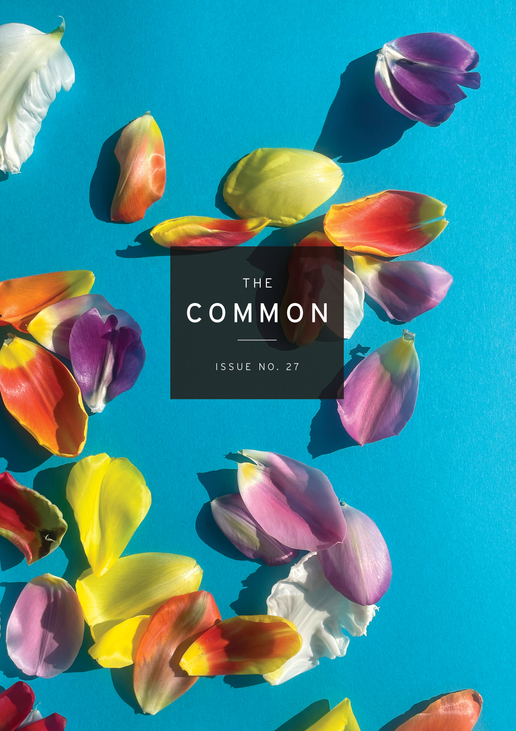 Issue 27 cover of The Common