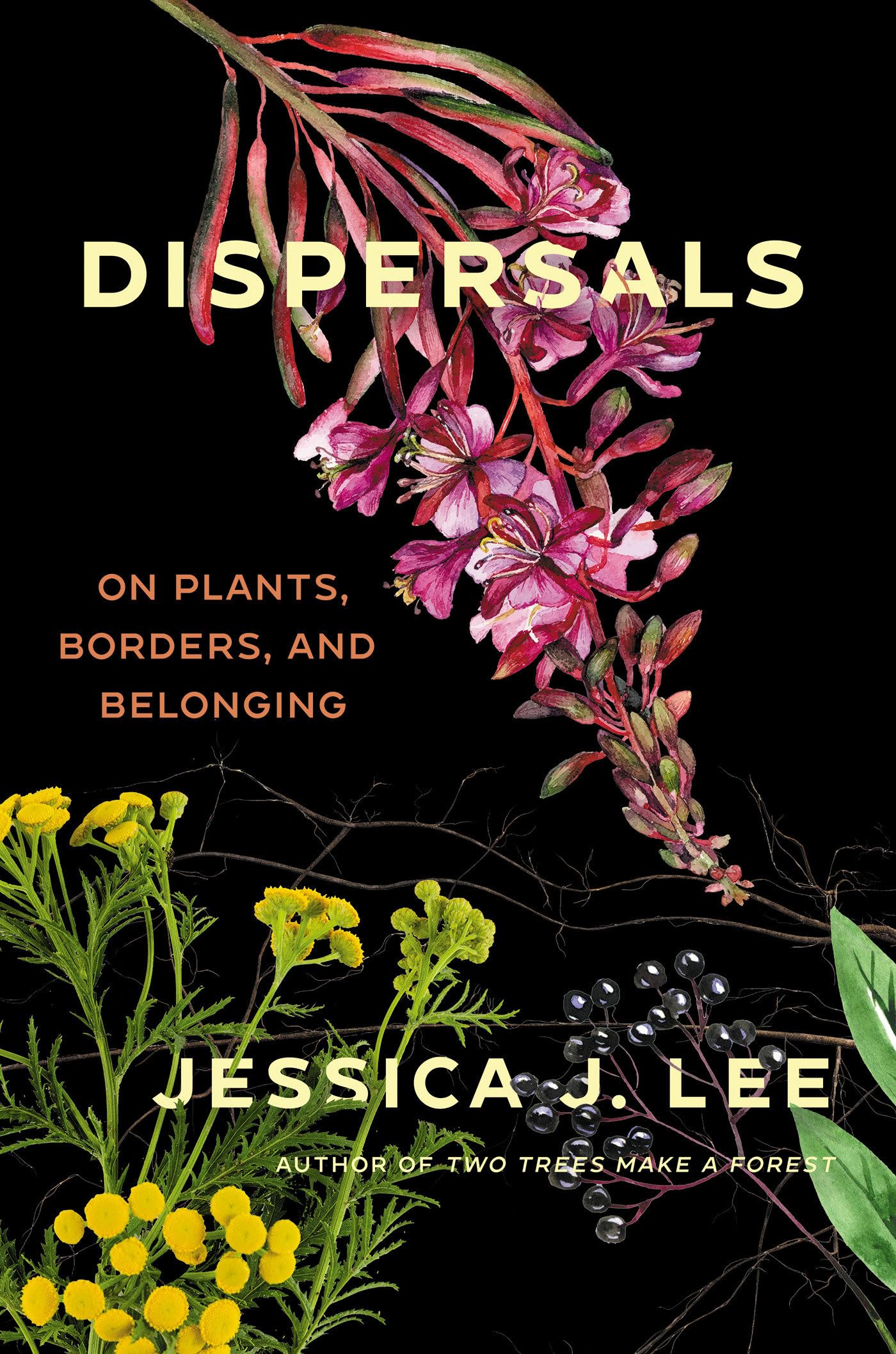 The cover of Jessica J. Lee's DISPERSALS shows pink and yellow wildflower sprigs against a black background.