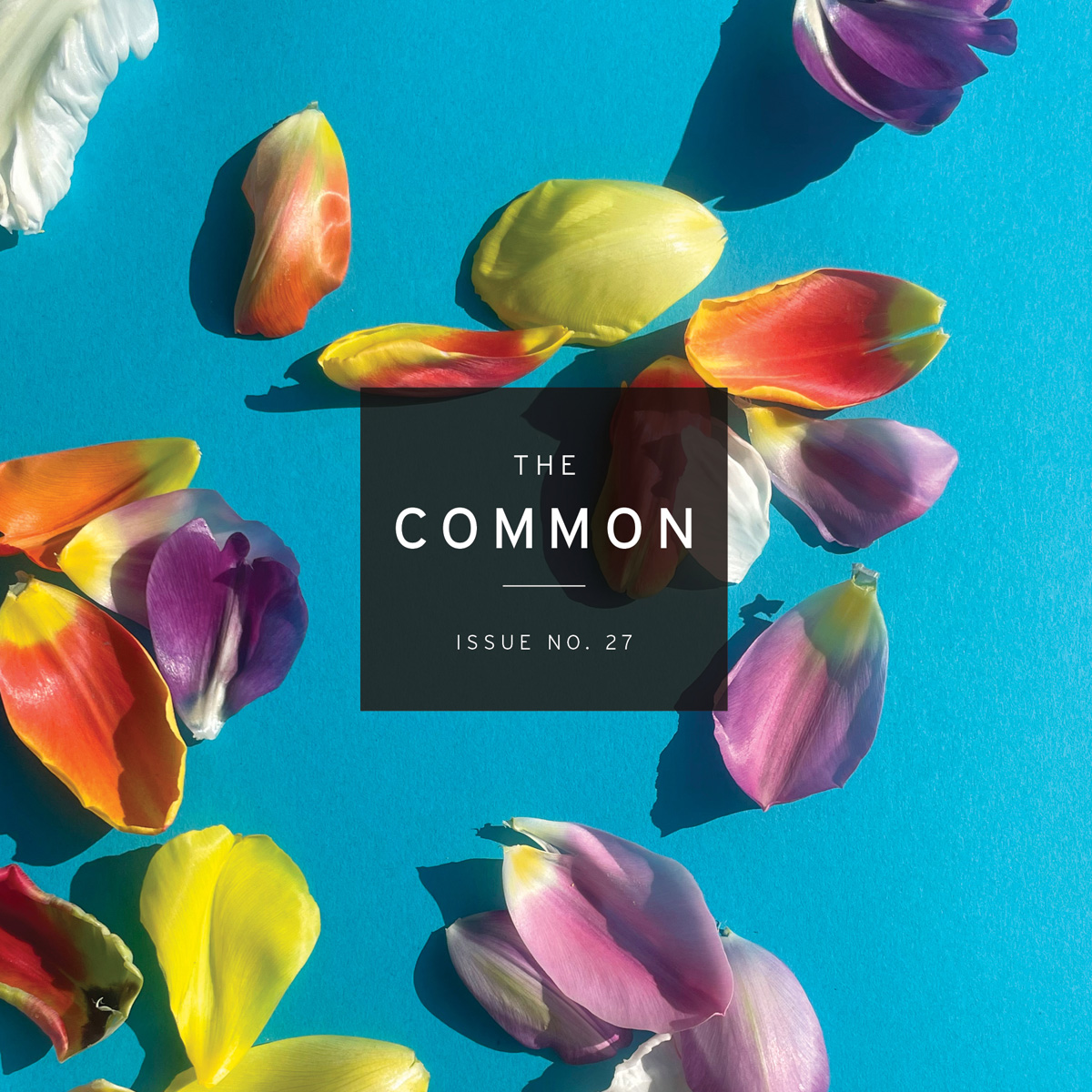 Issue 27 | The Common