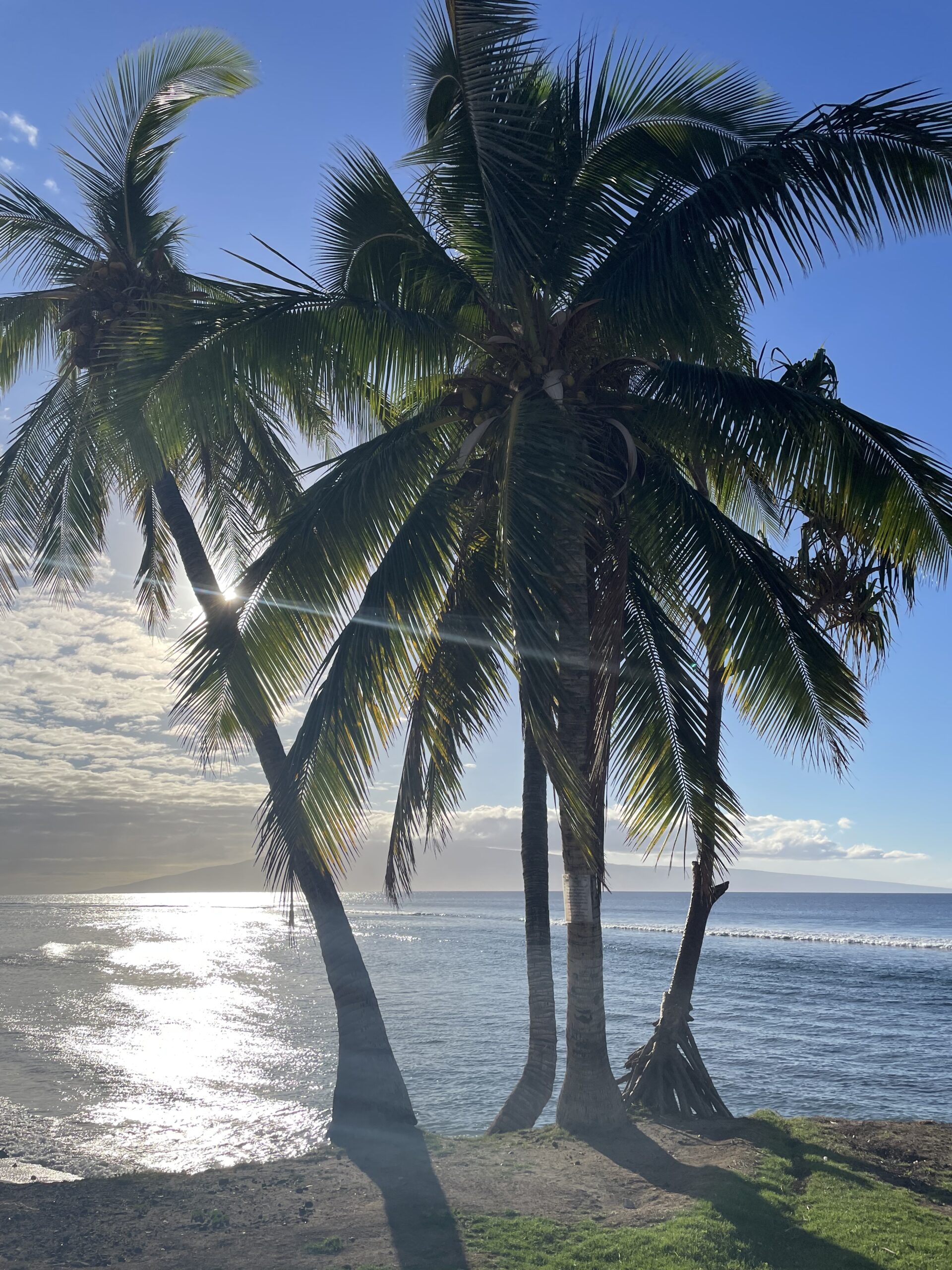 Ho’omana’o