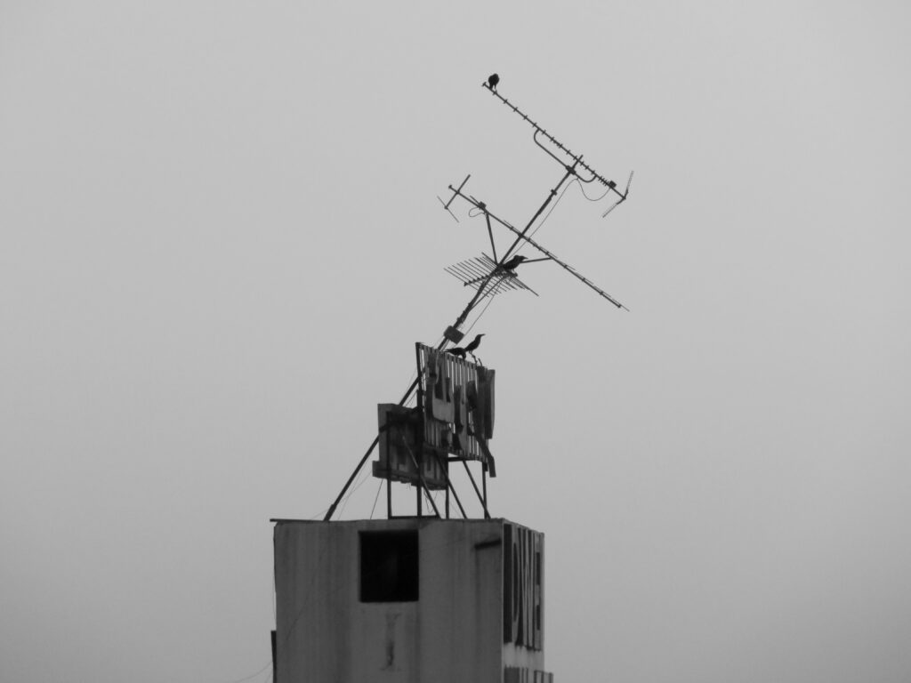 Telephone or satellite reciever on top of building