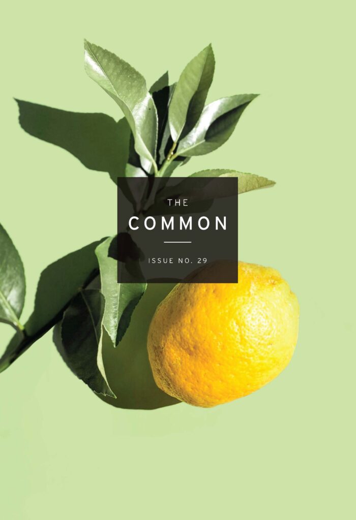 Issue 29 cover: Lime green background with a bright yellow lemon with leaves, and the logo for The Common