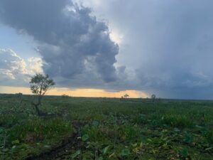 Cloudy sunset over a green field.