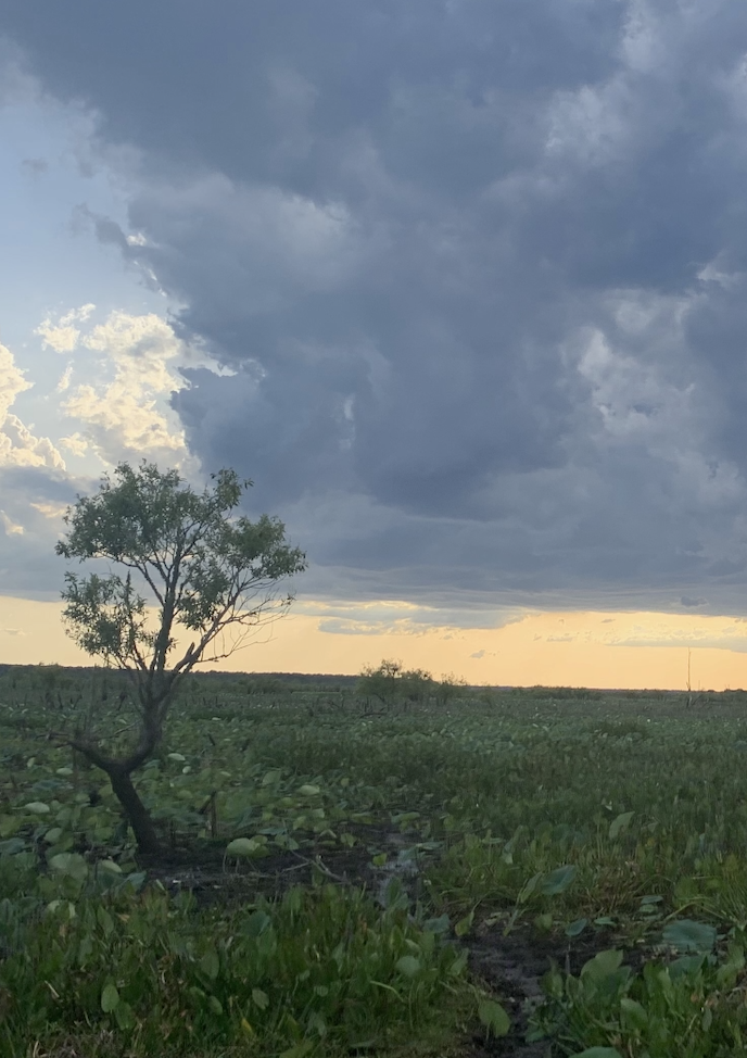Cloudy sunset over field.