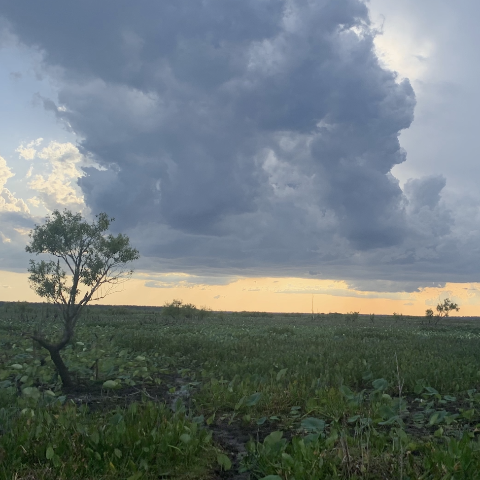 Cloudy sunset over field.