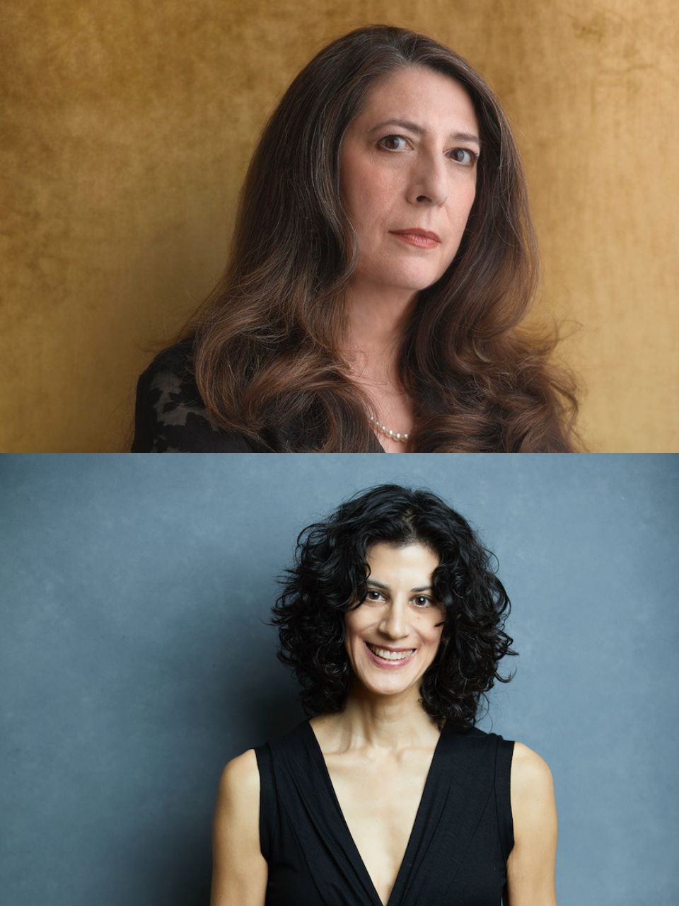 Hitting a Wall and Making a Door: A Conversation between Phillis Levin and Diane Mehta