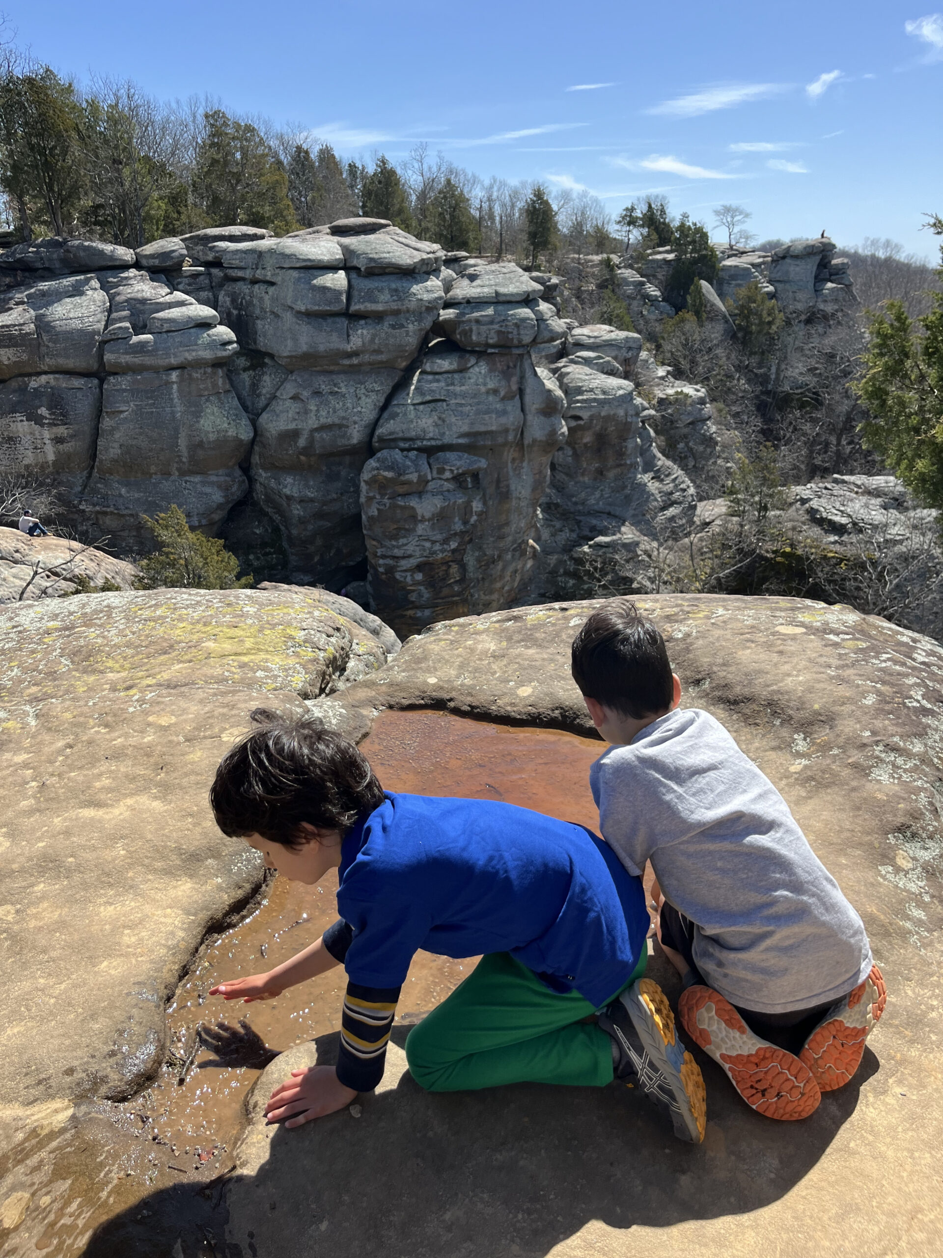 Two children kneel on a large rock surface, large grey boulders and a forest of trees visible in the distance.
