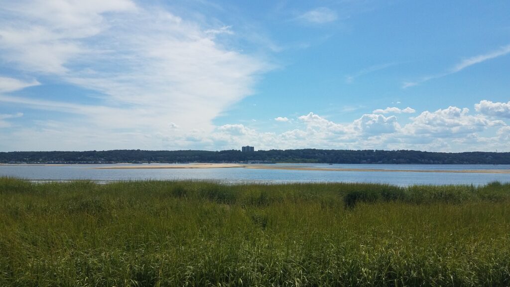 Marshland