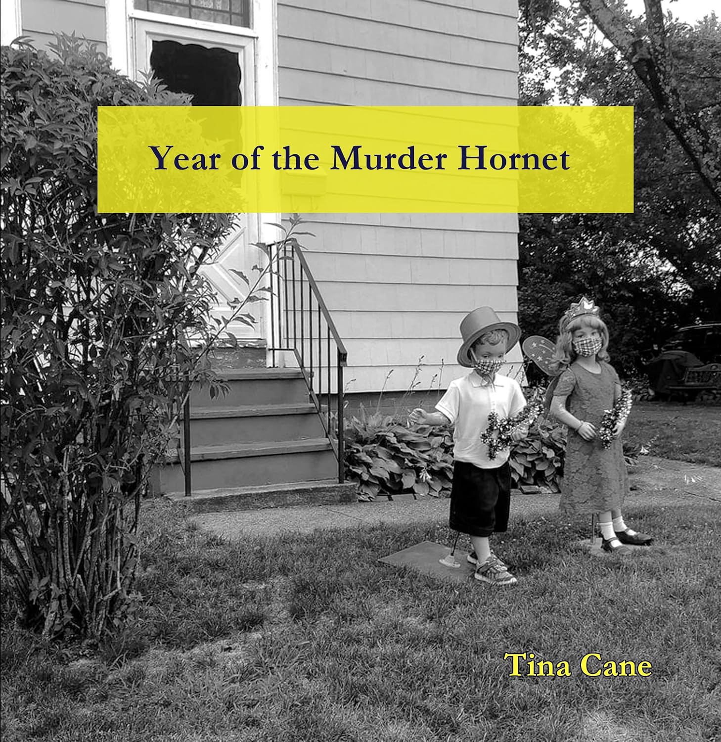 Year of the Murder Hornet, by Tina Cane
