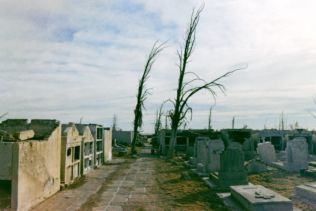 Two trees next to graveyard