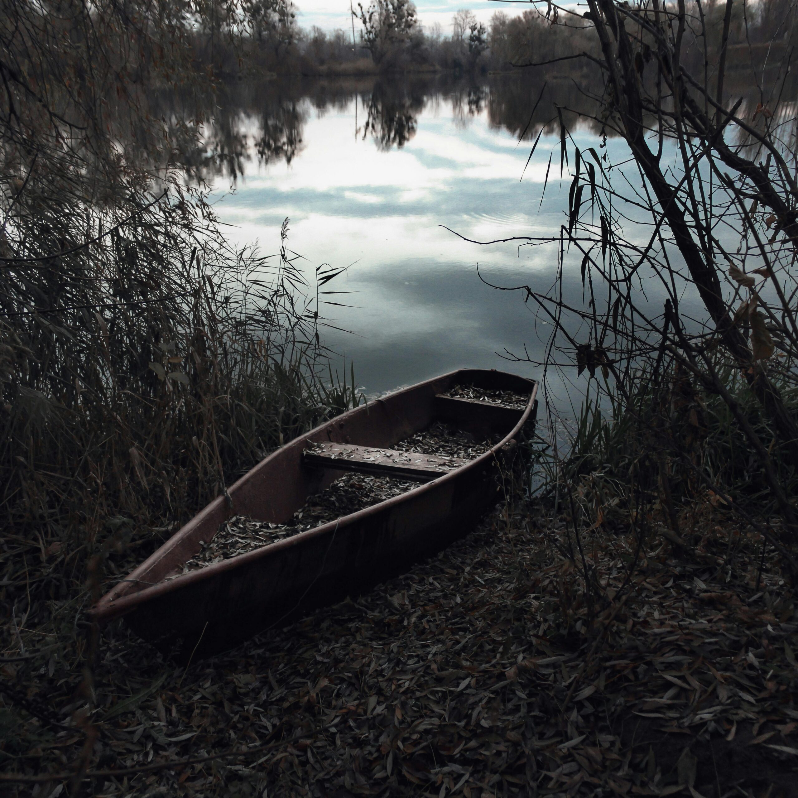 Canoe docked at the edge of a pond, surrounded by trees