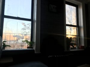 Ditmas Park through a window