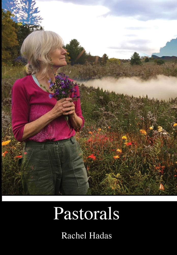 Book cover of Pastorals by Rachel Hadas