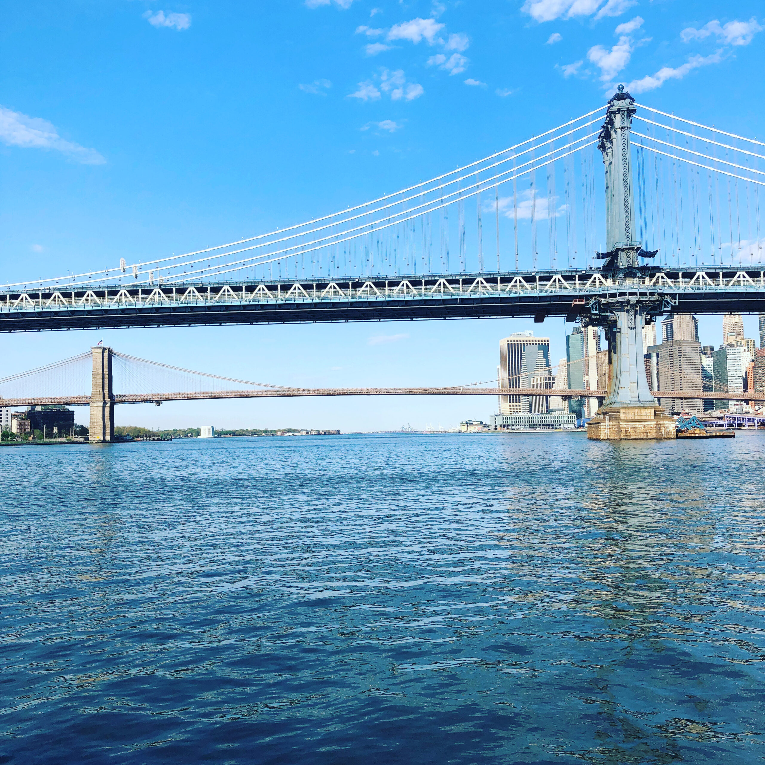 The Back Meets the Nose